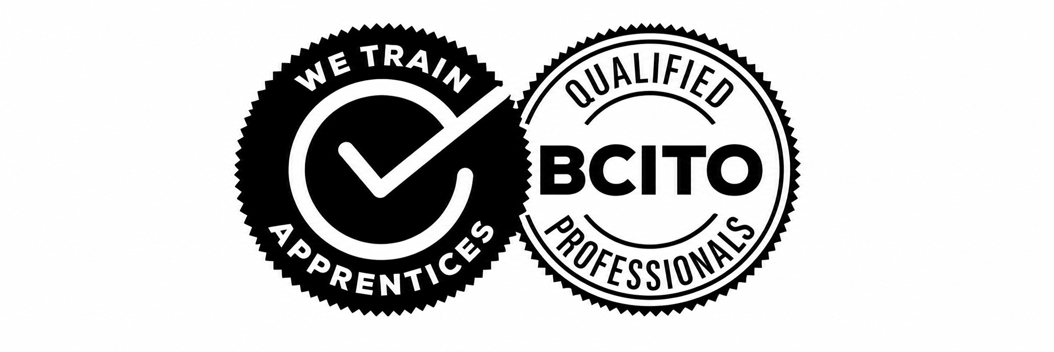 BCITO qualified professionals and apprenticeship training